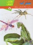کتاب حشرات (شگفتی آفرینش 8/فیلیپس/حسینیان/رحلی/پریمان)