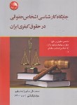 کتاب جایگاه کارشناسی اشخاص حقوقی در حقوق کیفری ایران (عباس زاده/آیلار)