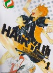کتاب HAIKYUI 01 MANGA (وارش)